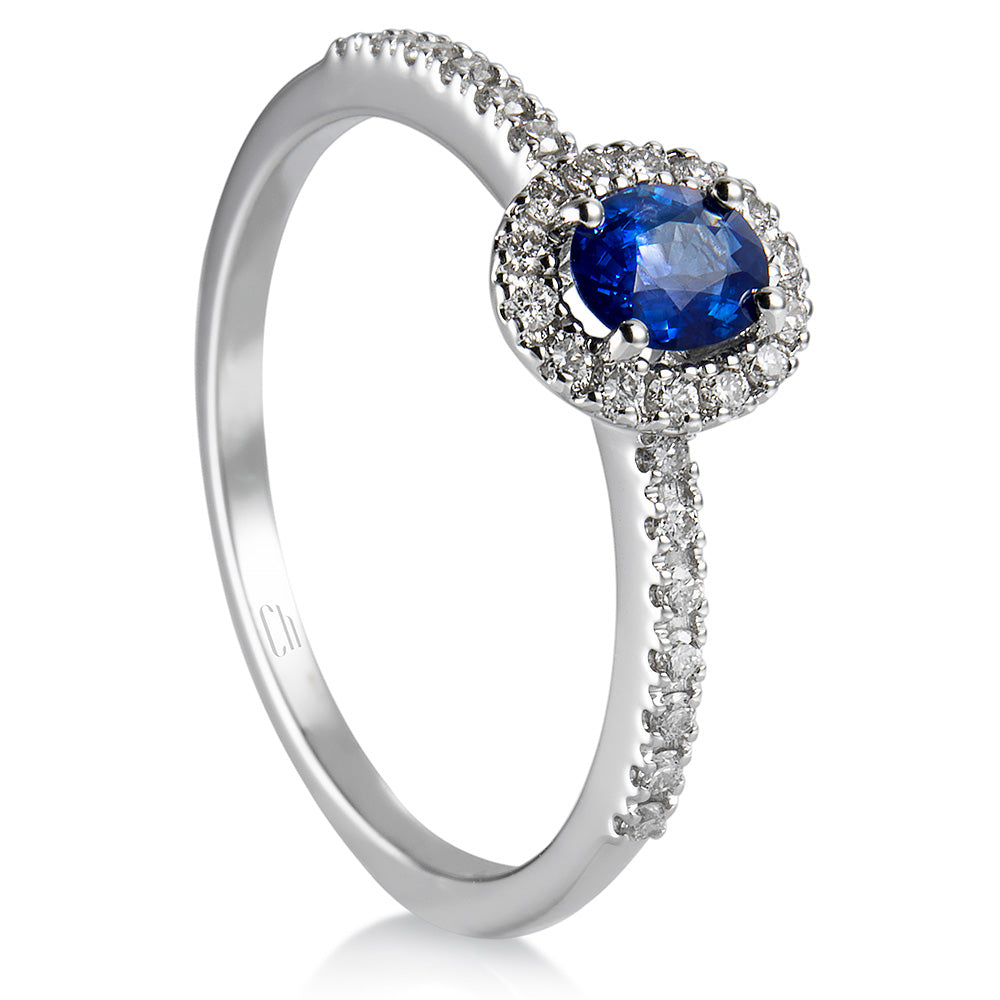 Sortija "Royal Trilogy" de oro blanco zafiro y orla de diamantes