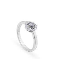 Solitario de oro blanco 4 garras con orla de brillantes|Chocrón Joyeros