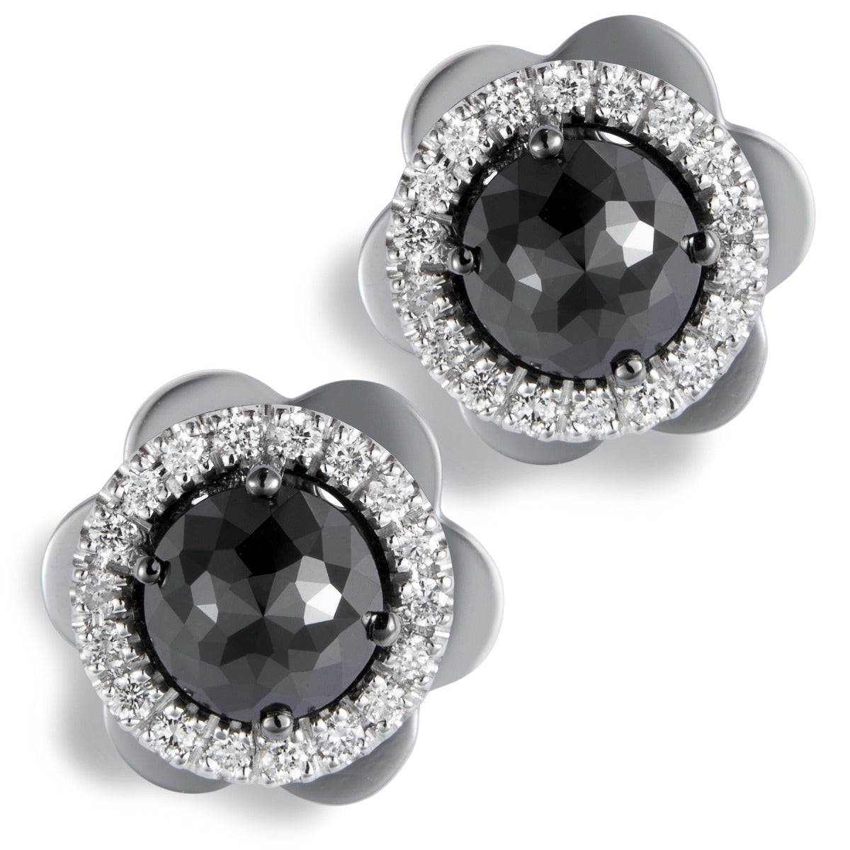 Pendientes de oro blanco con diamantes negros y orla de brillantes - Ref J5249TB_Chocrón Joyeros