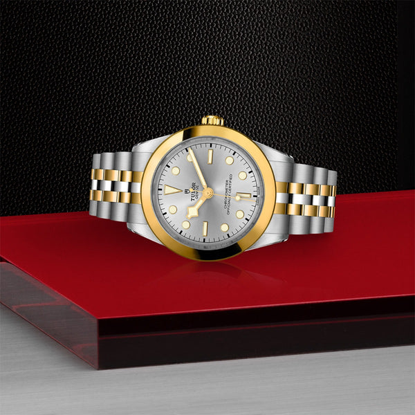reloj_Tudor_Black_Bay_39mm_S&G_esfera_plata_vista_reloj_tumbado_79663-0002_Chocron_joyeros_distribuidor_oficial