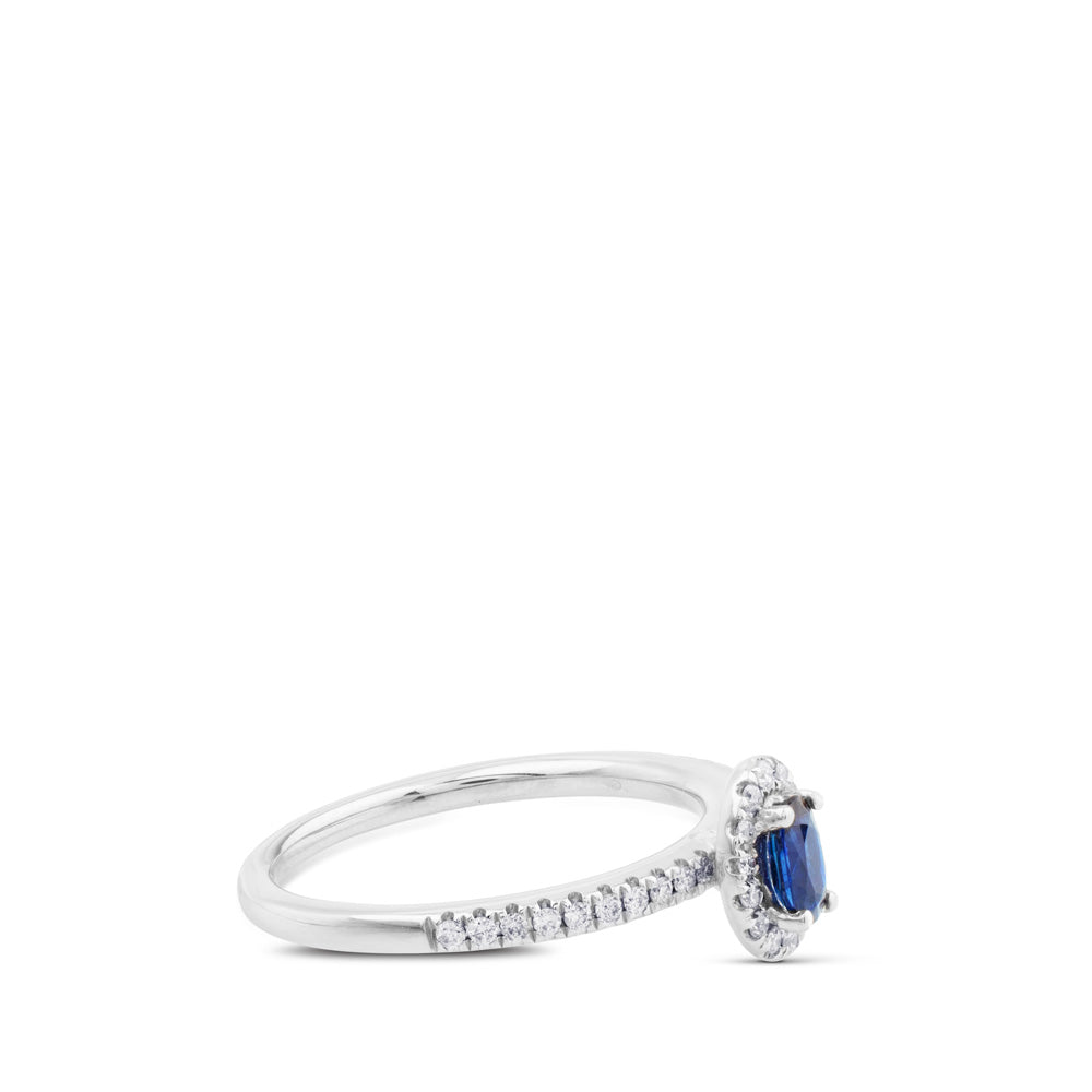 Sortija "Royal Trilogy" de oro blanco con diamantes y zafiro con orla de pavé de diamantes