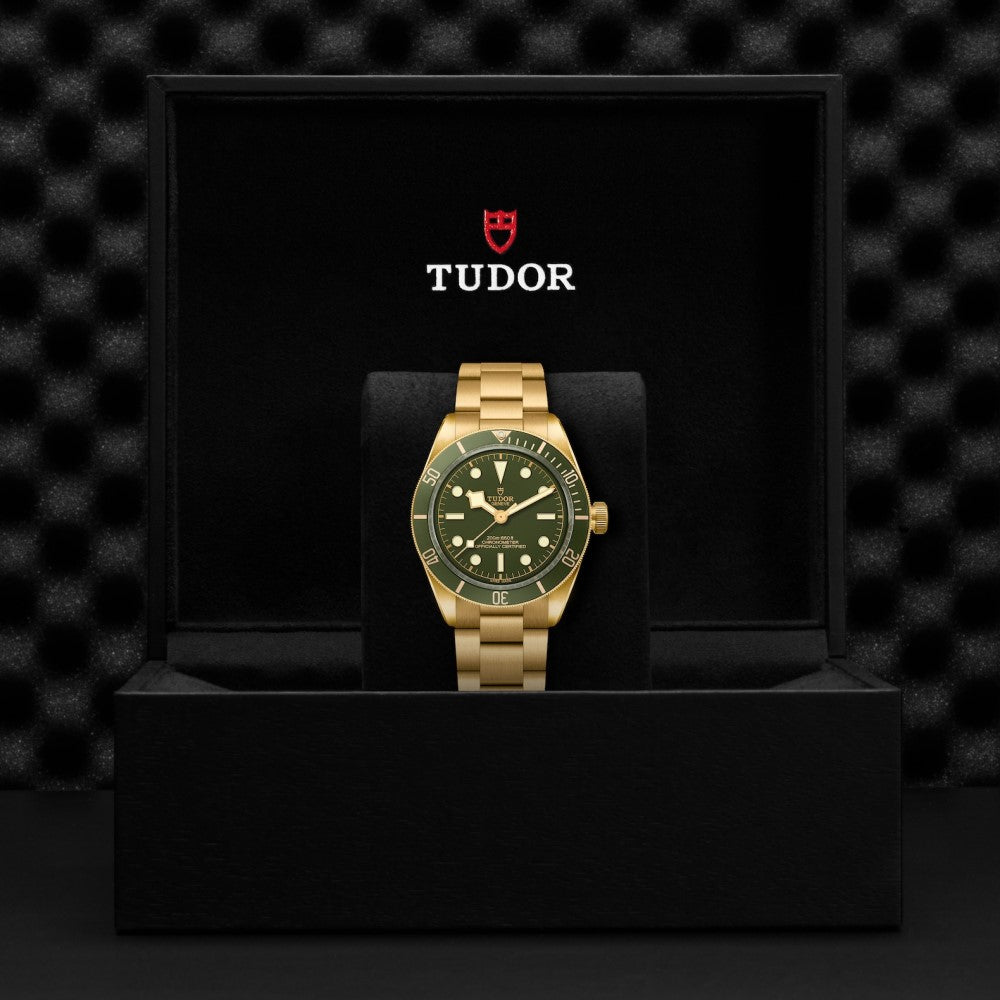 Tudor Black Bay 58 18K esfera verde 39mm