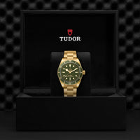 Tudor Black Bay 58 18K esfera verde 39mm