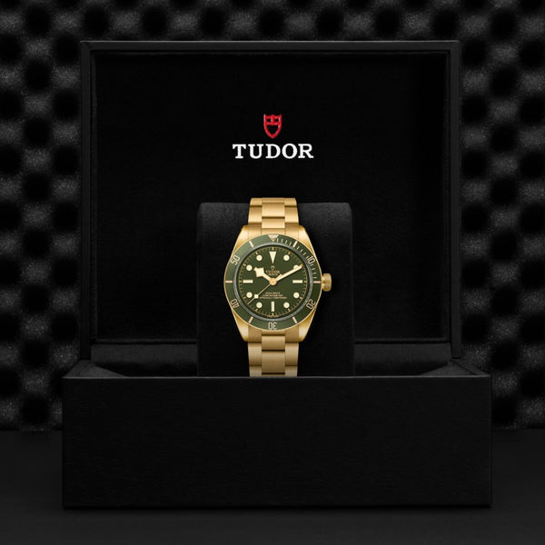 Tudor Black Bay 58 18K esfera verde 39mm