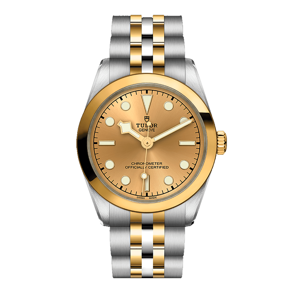 Tudor Black Bay S&G 31mm_79603-0005_Chocron Joyeros
