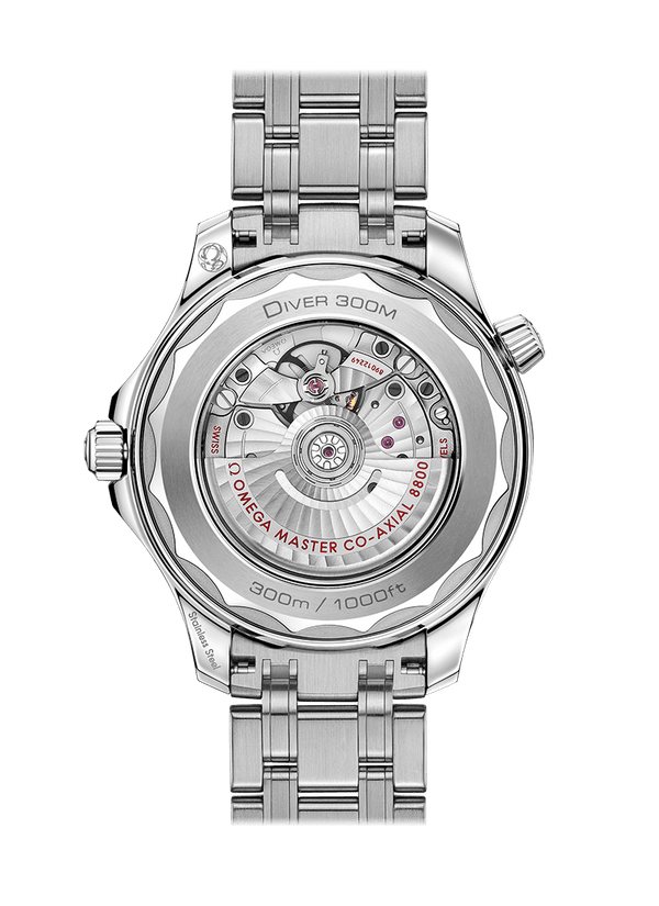 Omega seamaster 21030422001001