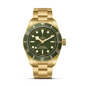 Tudor Black Bay 58 18K esfera verde 39mm