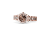 Reloj Rolex Lady-Datejust oro Everose y diamantes y esfera chocolate engastada de diamantes en Joyería Chocrón Joyeros